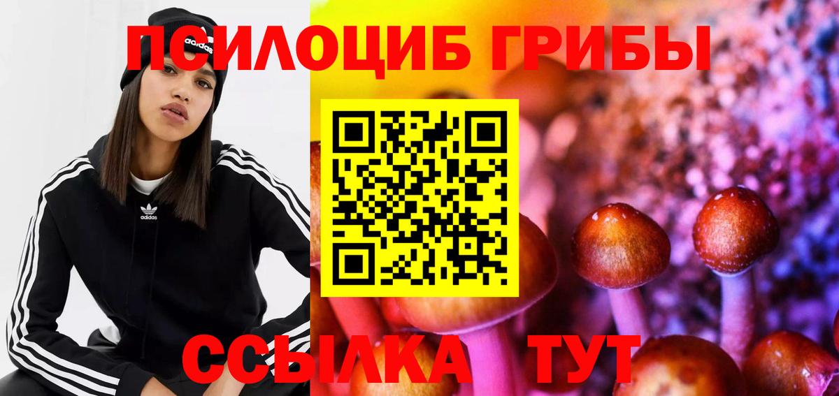 Псилоцибиновые грибы ЛСД Жигулёвск