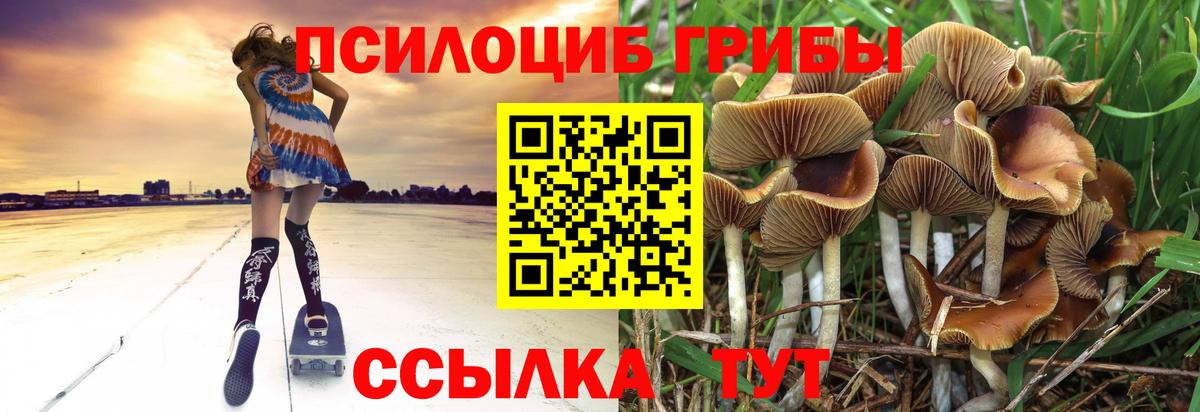 Псилоцибиновые грибы GOLDEN TEACHER  Псилоцибиновые грибы MAGIC MUSHROOMS  как найти   Жигулёвск  Вход с VPN 